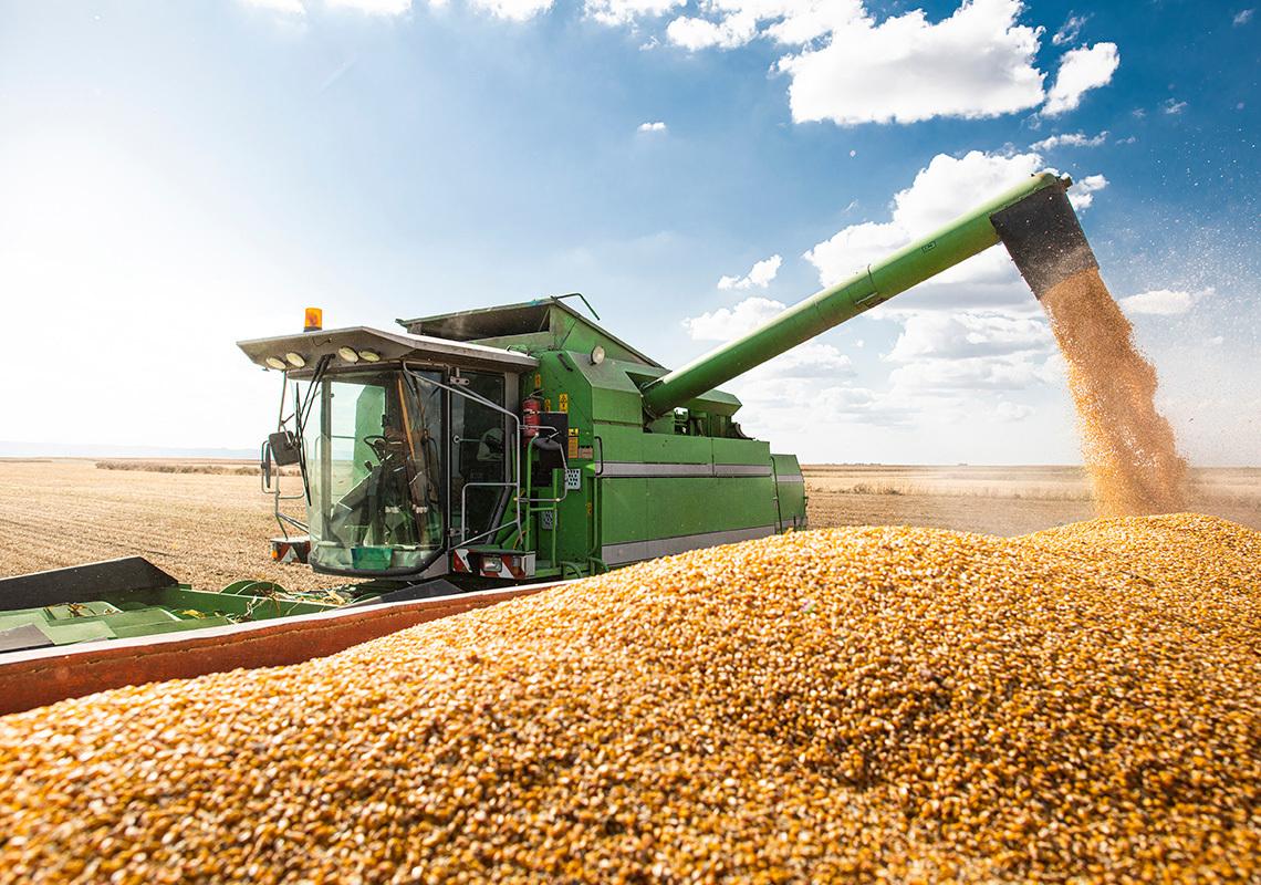 Harvest Risk Management