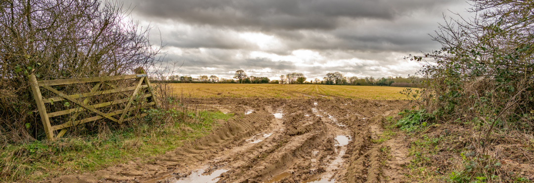 What impact have storms had on your farm?